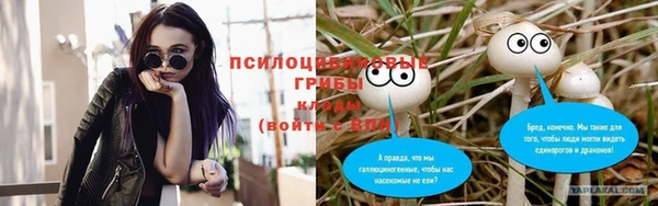 ГАЛЛЮЦИНОГЕННЫЕ ГРИБЫ Анива