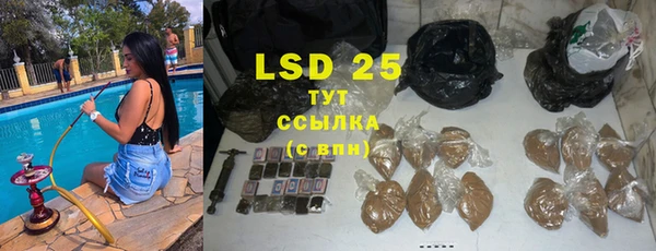 прущие грибы Михайлов